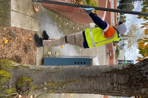 Man cleaning sign post