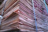 Timber veneer shipments threatened by greens campaigns