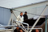 Hvalur hf whaling company boss Kristjan Loftsson (left) inspecting a dead whale.