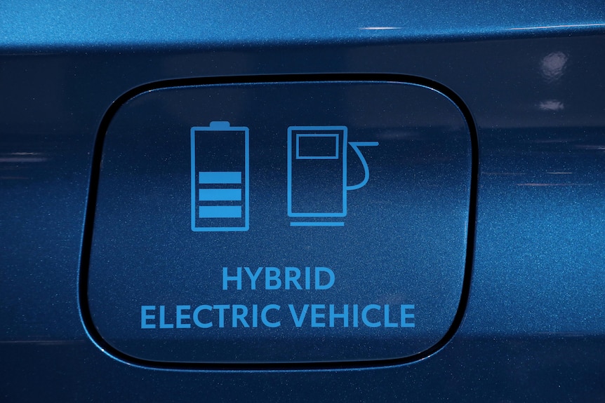 A car fuel door with petrol and electrical options.