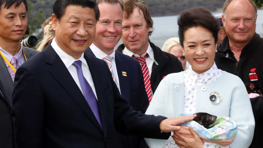 The Tasmanian Government believes the numbers will continue to grow in the wake of President Xi's visit.