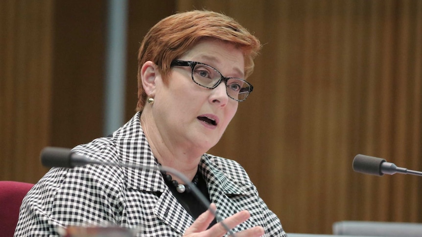 Marise Payne sits in front of a microphone in a wood-panelled room inside Parliament House