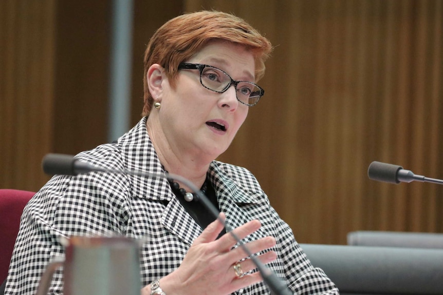 Marise Payne sits in front of a microphone in a wood-panelled room inside Parliament House