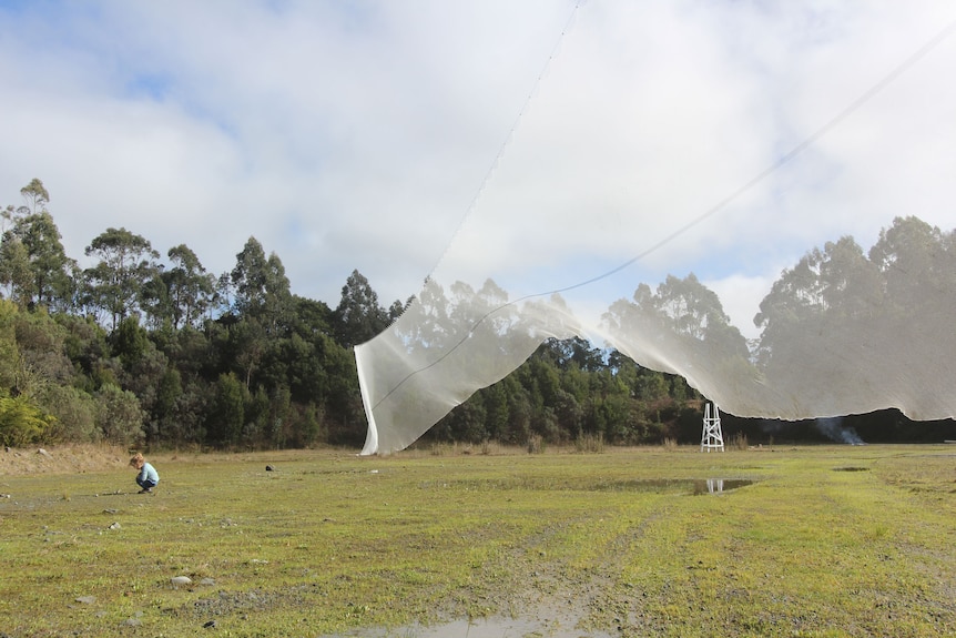 a child squats on desolate open land and behind the child a large white piece of material are installation billows in the wind.