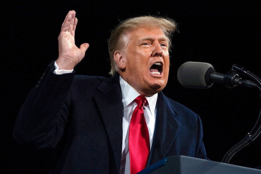 Donald Trump speaks at a campaign rally