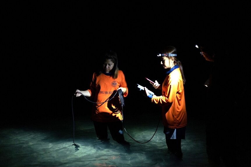 Two people in shallow water holding an electronic device at night