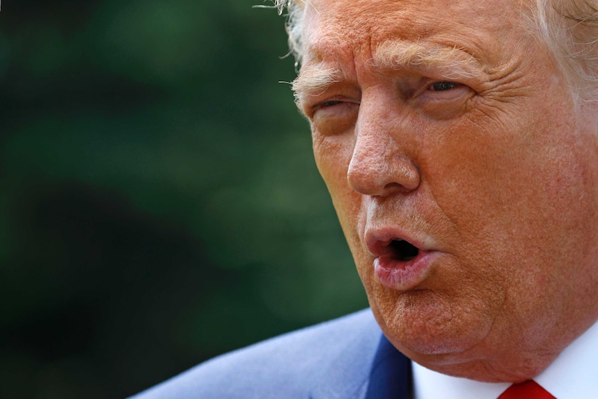 President Donald Trump speaks to members of the press on the South Lawn of the White House in Washington.