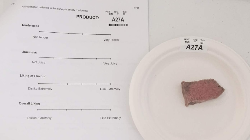 A form with lines for rating meat with a sample size of beef on a plate next to the paper.