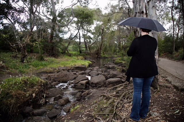 Woman stands holding umbrella next to creek with rocks