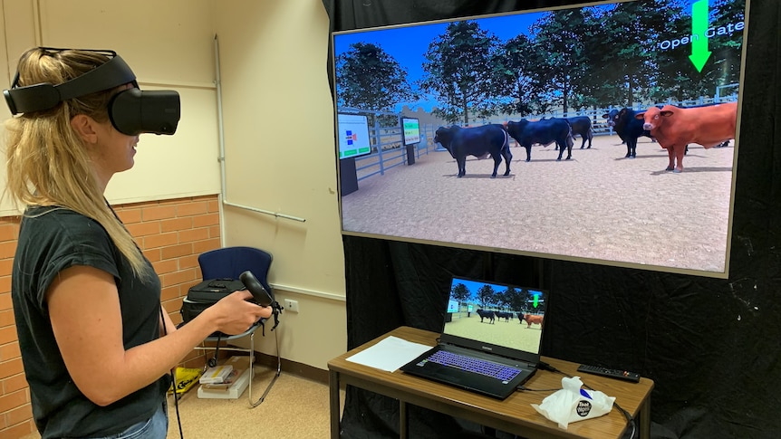 A blonde woman with a black headset on in front of a screen with cattle pictured