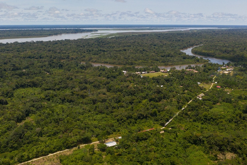 Imagine aeriană a unui râu înconjurat de păduri tropicale.
