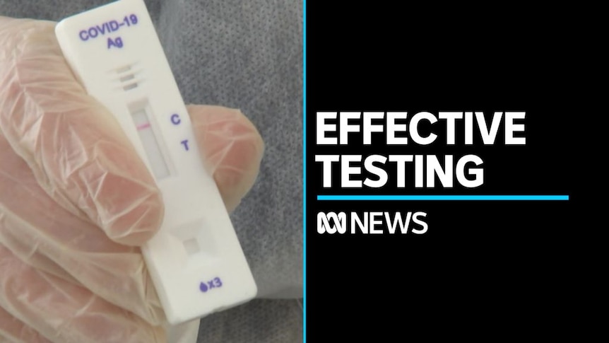 Mary-Louise McLaws says consecutive days of rapid antigen testing is a good  way to detect the virus - ABC News