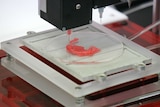 A close-up of a 3D printer making a human ear.