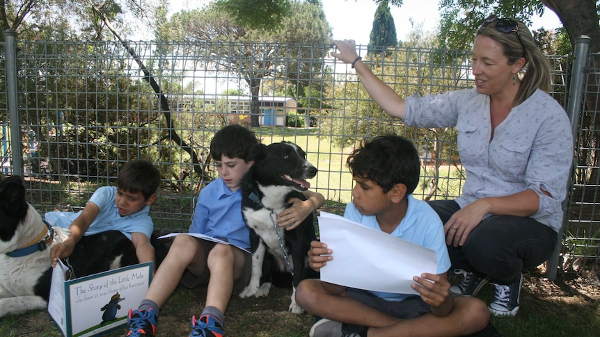 Dogs helping with a reading program in Armidale