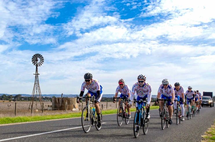A peloton races through country South Australia.