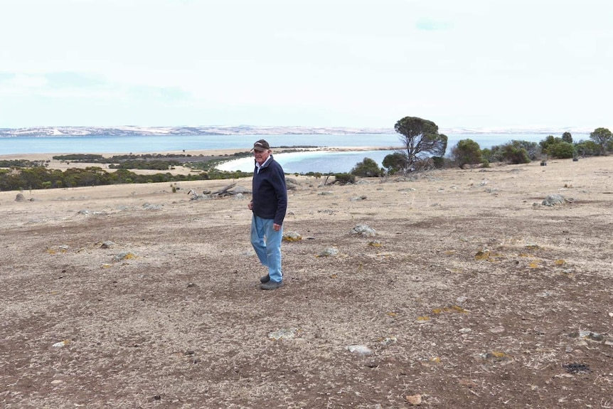 Man standing in grass paddock with seaview in backgound