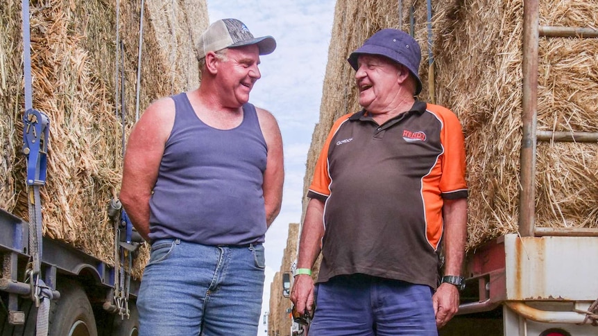 Two men lean on hay bales, still on the truck, and smile at each other.