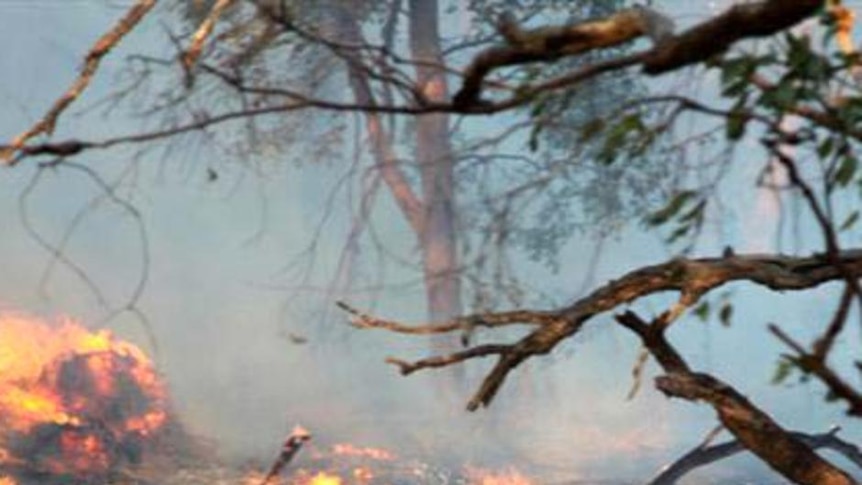 A man tries to put out the bushfire, burning in scrub south-east of Perth, on February 7, 2011.