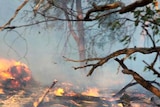 The Roleystone fire broke out when a spark from an angle grinder ignited dry grass.