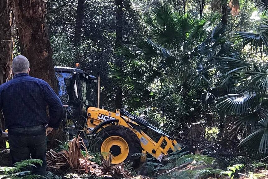 Mark Leveson at search site