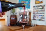 Pouring Red wine into a glass, boutique winery