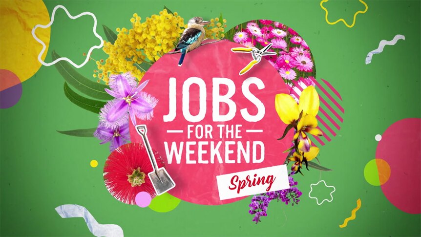 Graphic with text 'Jobs for the Weekend Spring'