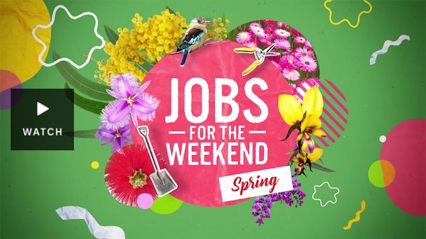 Graphic with text 'Jobs for the Weekend Spring'. Has Video.