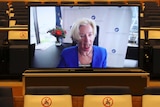 A middle-aged woman with blonde hair and a blue suit talks via video link.