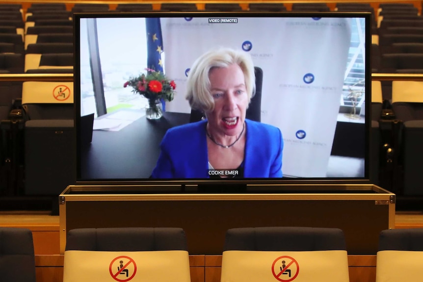 A middle-aged woman with blonde hair and a blue suit talks via video link.