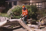 The SES cuts up a tree that fell on a car in a driveway at Tullamarine.