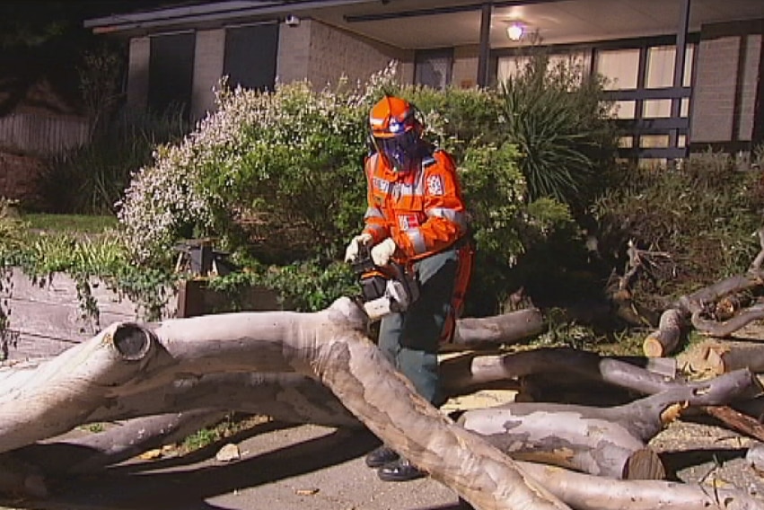 The SES cuts up a tree that fell on a car in a driveway at Tullamarine.