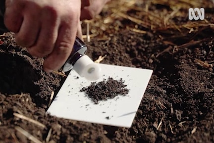 A white tile is placed on the ground with a pinch of soil ontop. Tino's hand hovers above with a bottle from the pHsoil test kit