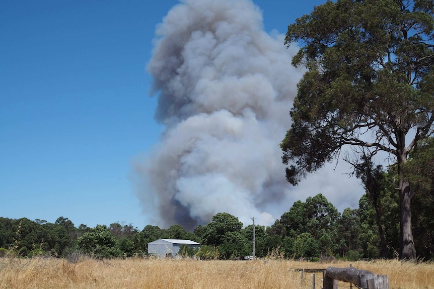 A plume of smoke rises in the Gwindinup fire in Western Australia's south west.