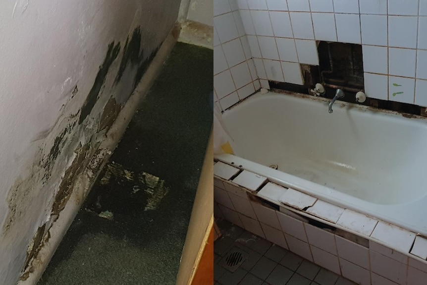 Composite photo showing mould on walls and cracked tiles above a bath.