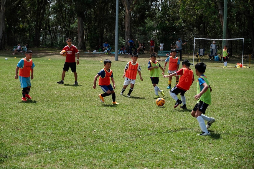 Vietnamese Australian football match (2021)