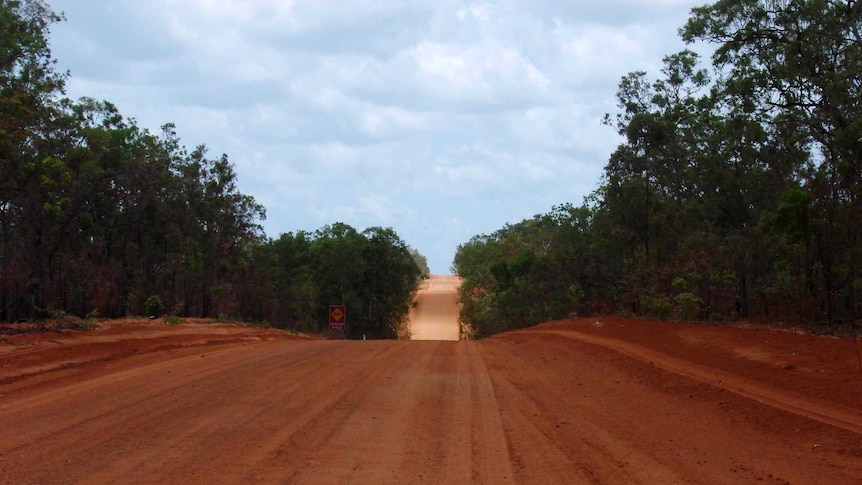 A dusty red road leads through the bush.