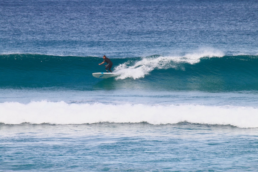 Luc Longley surfing