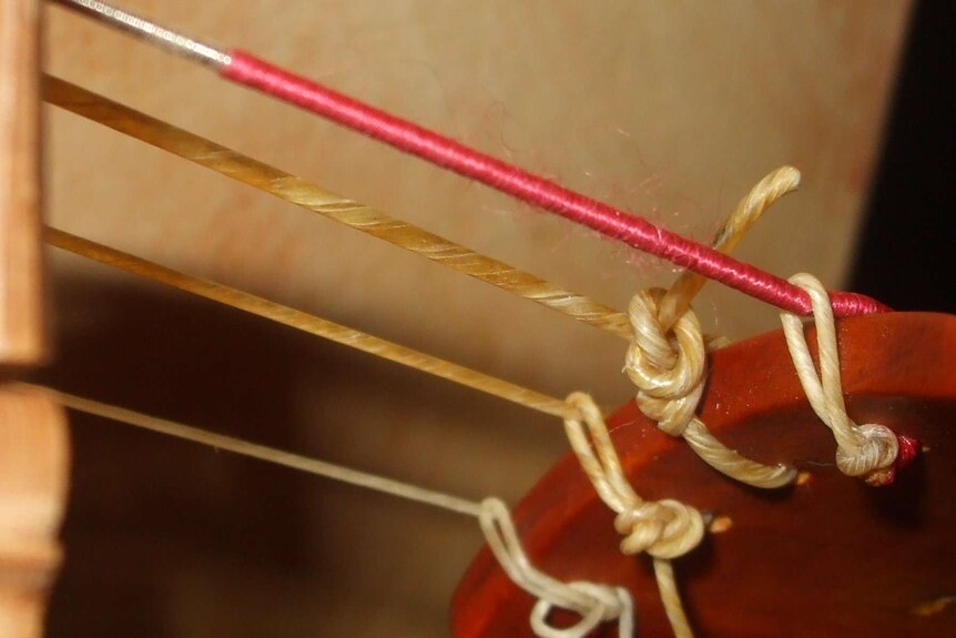 Close-up of gut strings tied to the tailpiece of a historical violin.