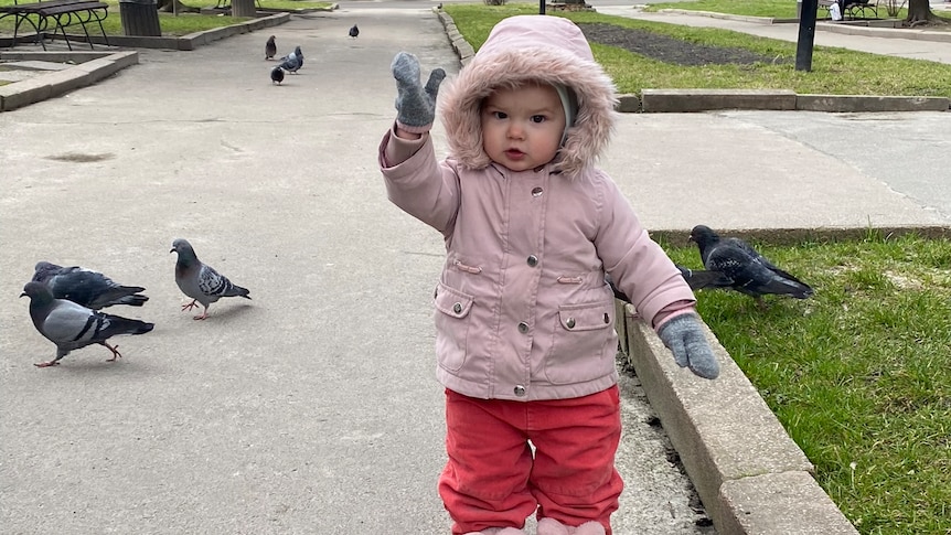A toddler stands in European park with pigeons around her dressed in thick winter clothes