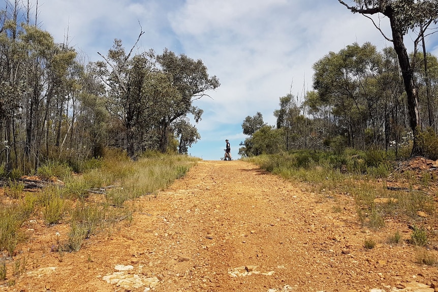 David Mark turns around while on his bike at the top of a dirt hill surrounded by bushland.