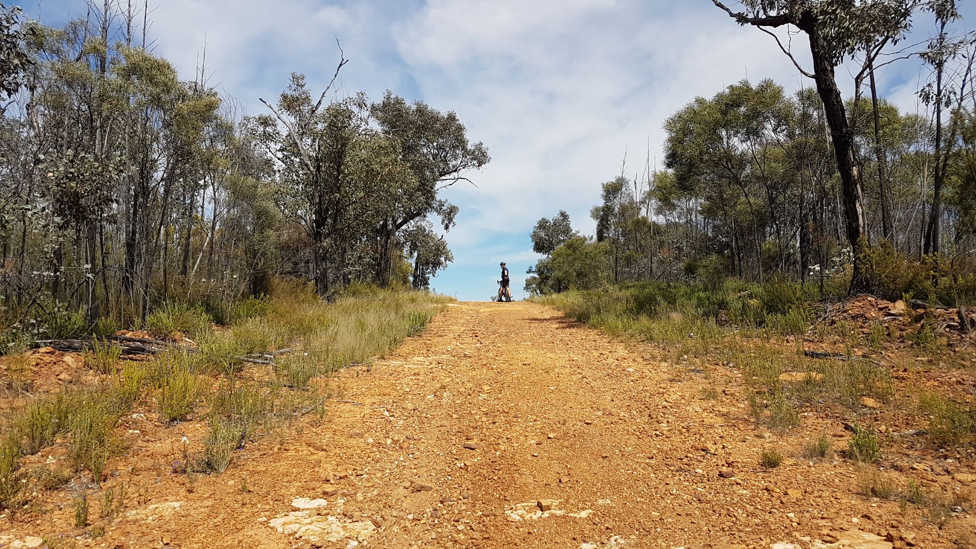 David Mark turns around while on his bike at the top of a dirt hill surrounded by bushland.