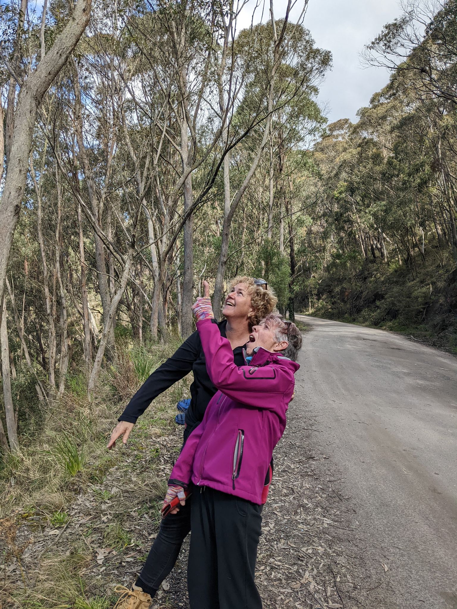 A women in a pink jacket and another women in a black jacket looking up at some trees