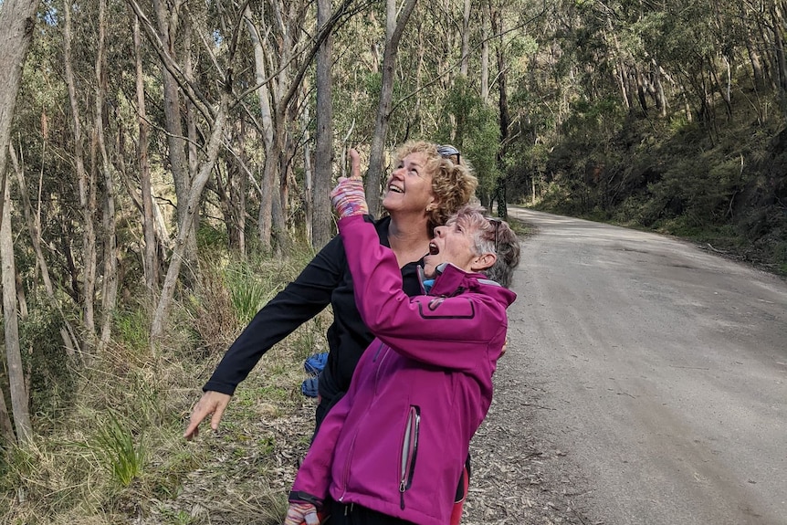 A women in a pink jacket and another women in a black jacket looking up at some trees