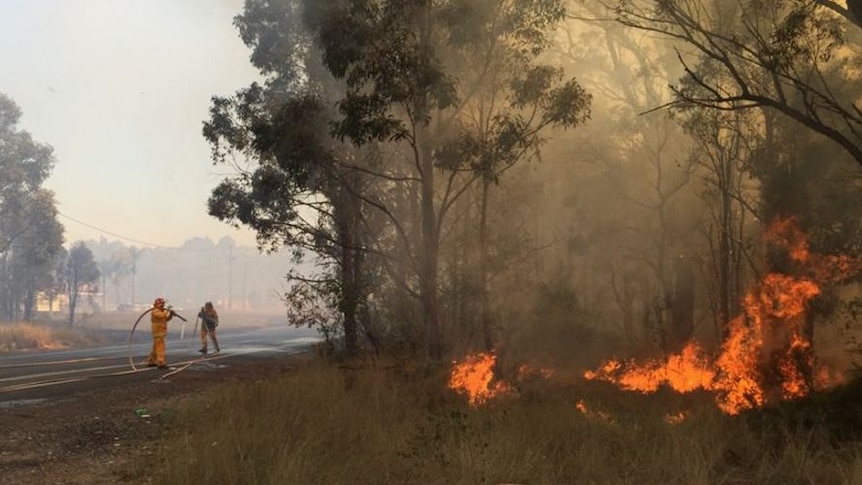 Firefighters battling a blaze in bushland on Sydney's western outskirts
