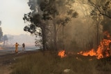Firefighters battling a blaze in bushland on Sydney's western outskirts