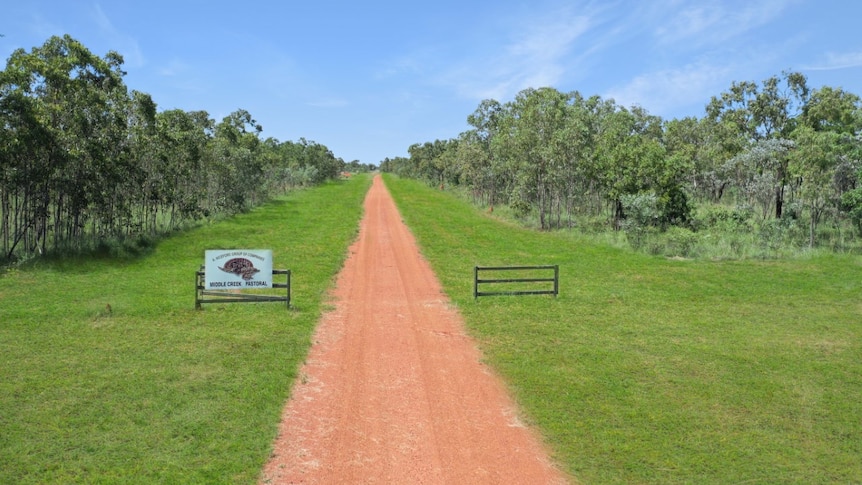 a drone shot of a station gate with green grass.