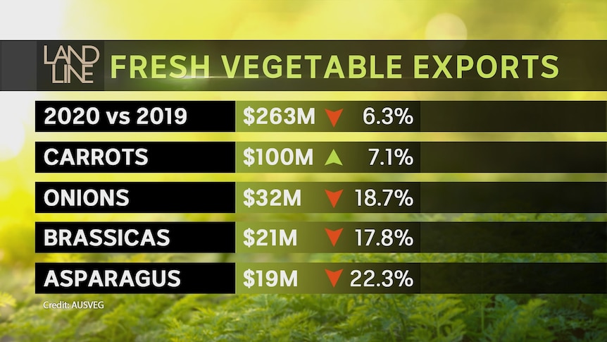 un graphique montrant les exportations de légumes frais en 2020