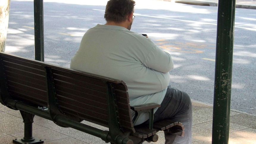 An obese man sits on a bench in Brisbane in April 2014.