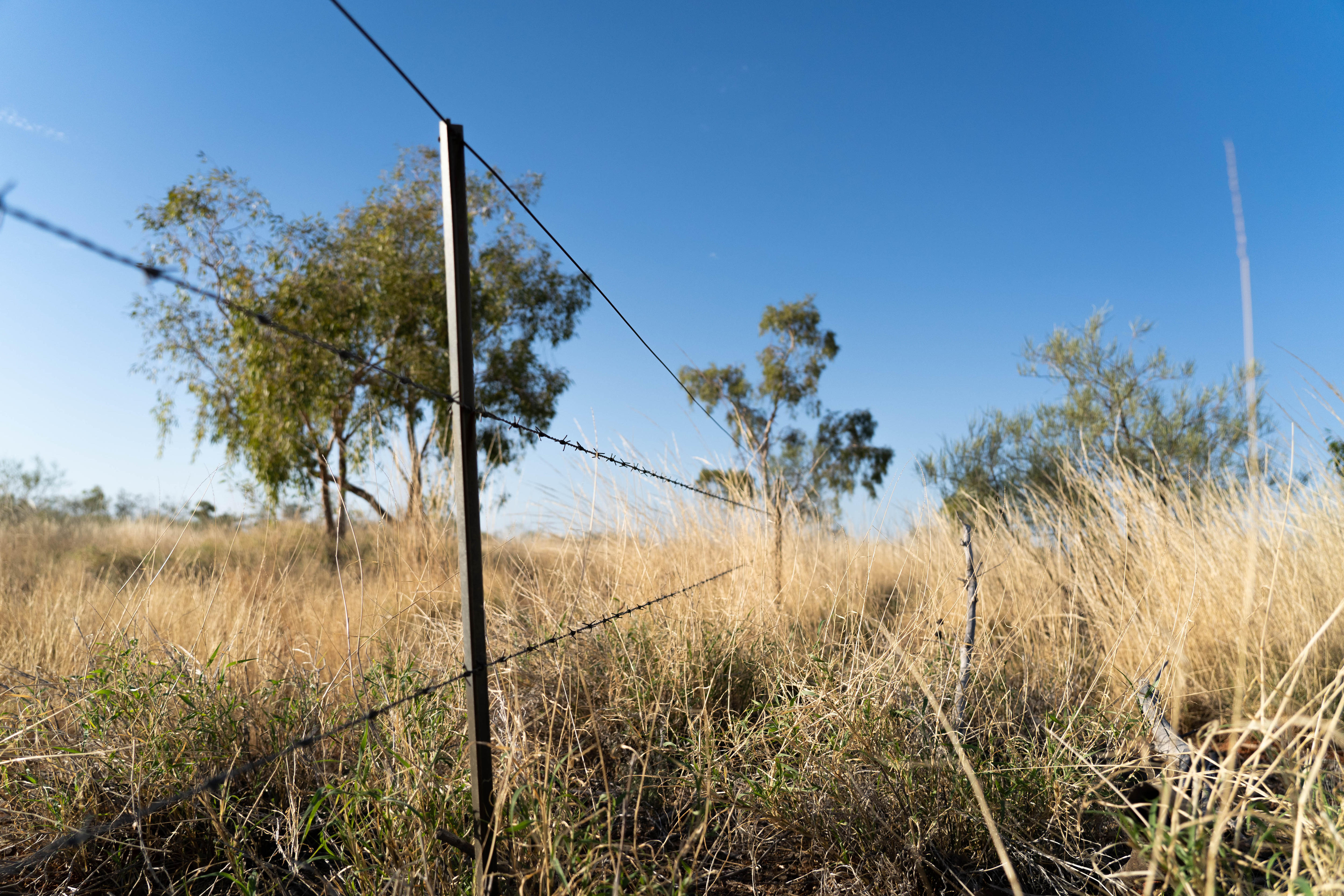 Singleton Station fence