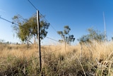 Singleton Station fence